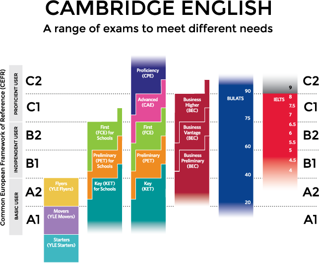 grafico sui cambridge english exams 
